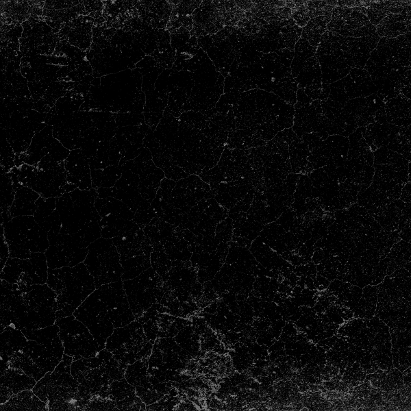 Email-Primary_600x600-Evergreen-New-Arrivals
